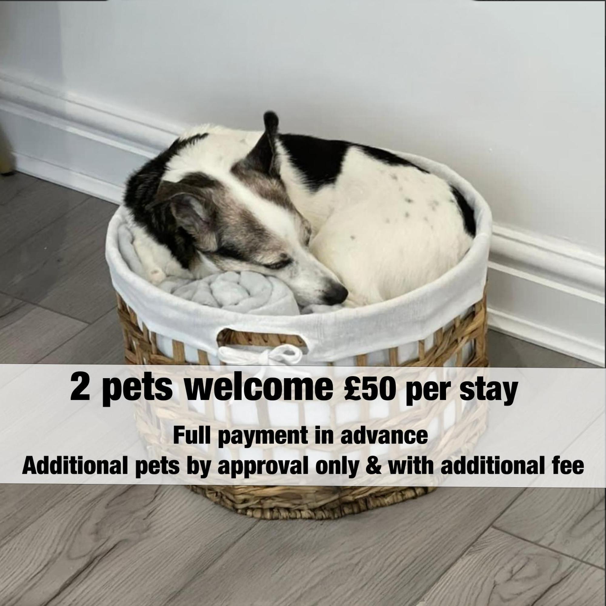 Amber Delightful Suite Moseley Mews, Birmingham By Staystaycations Eksteriør bilde